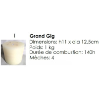 grand_gig-nano_1720943190