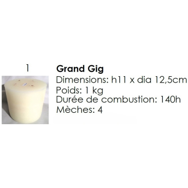 grand_gig-nano_1720943190